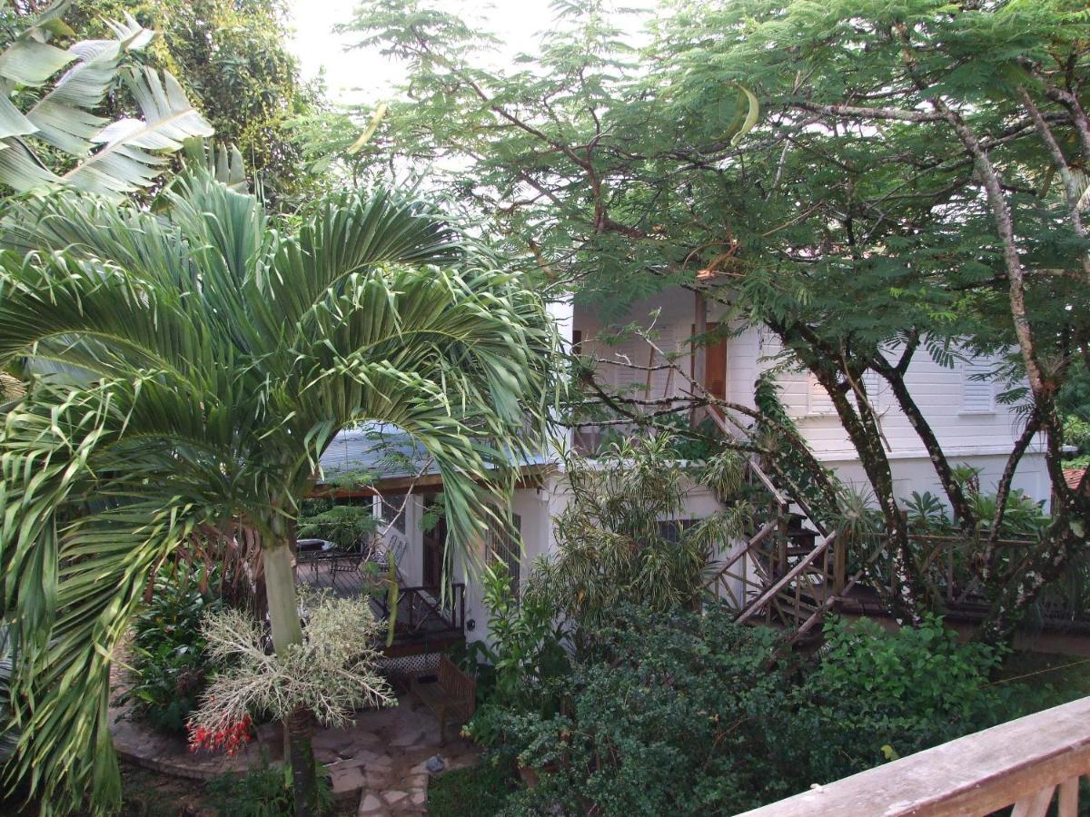 Bluebelize B&B Punta Gorda Bagian luar foto