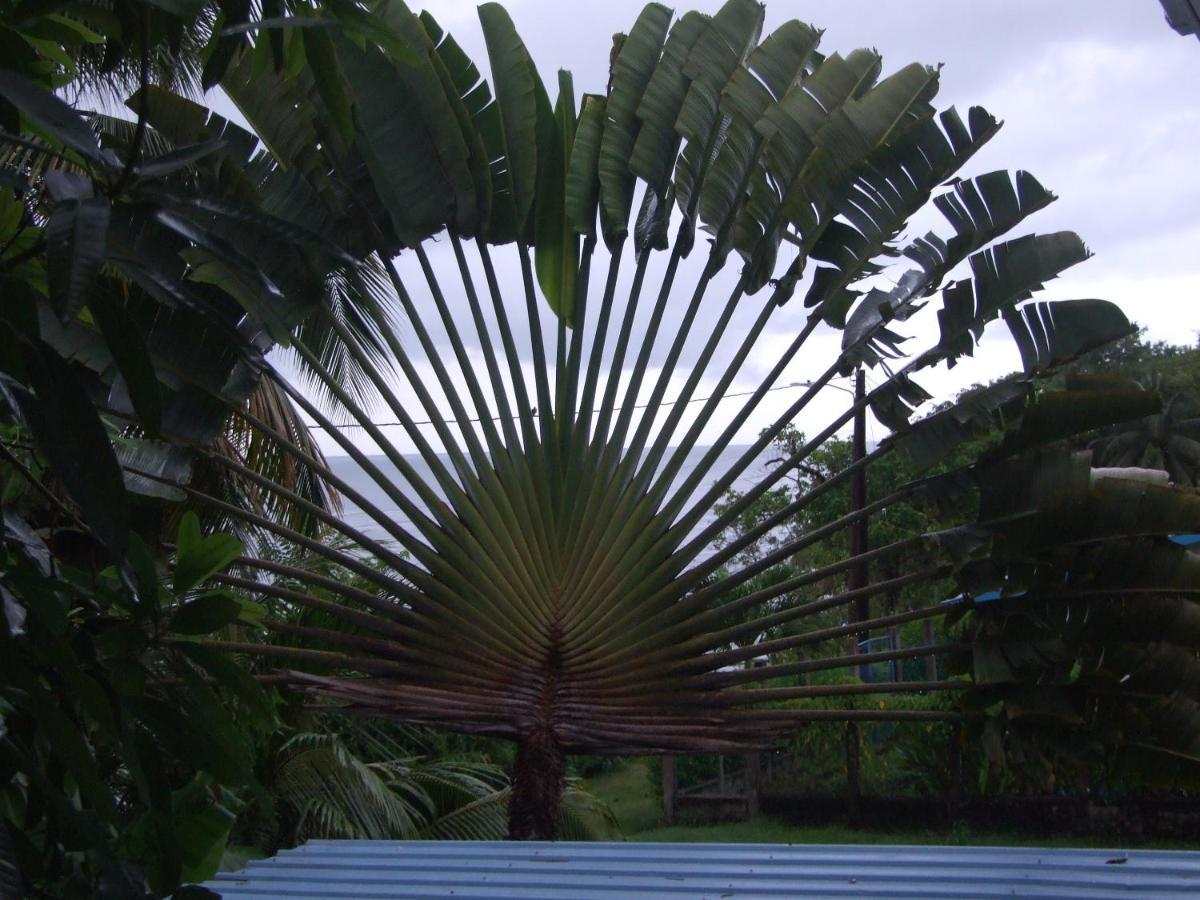 Bluebelize B&B Punta Gorda Bagian luar foto