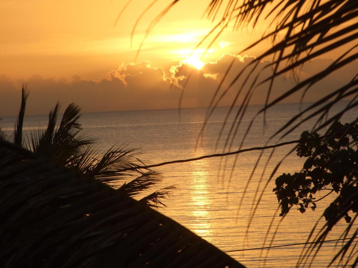 Bluebelize B&B Punta Gorda Bagian luar foto