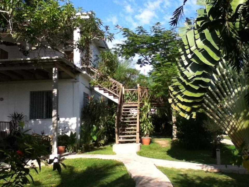 Bluebelize B&B Punta Gorda Bagian luar foto